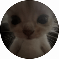 Foto de perfil de zamaro